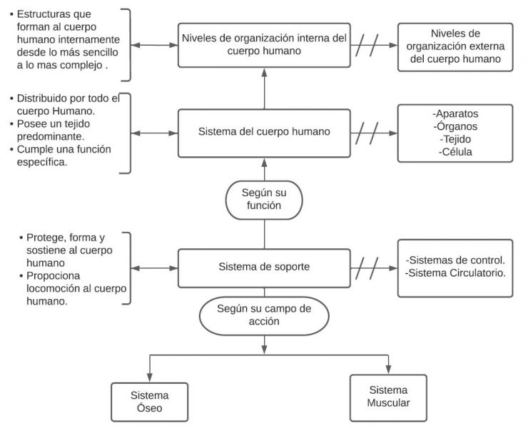 Archivo:Sistema de soporte.jpg