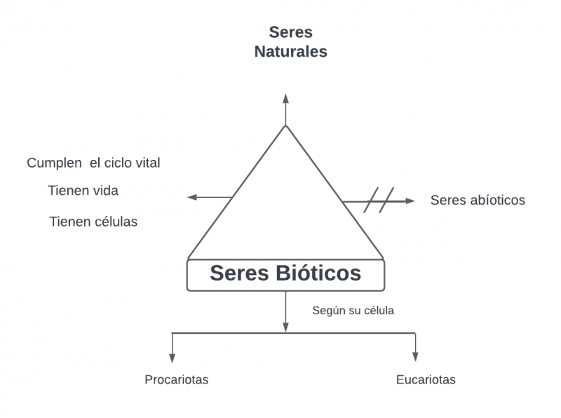 Archivo:Pseudomentefacto SeresBióticos.png