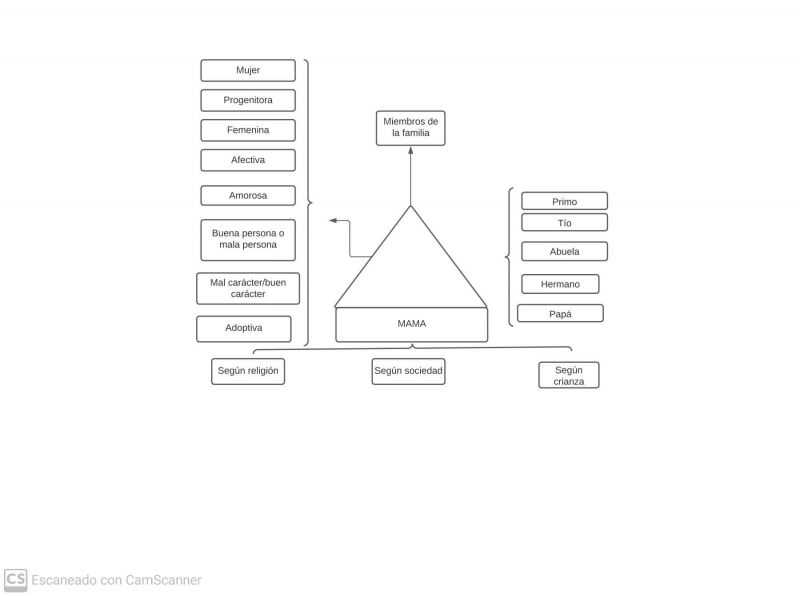 Archivo:Pseudomentefacto mamá .jpg