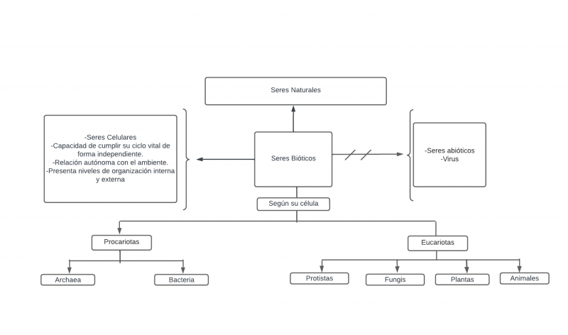 Archivo:Lectores (5).png