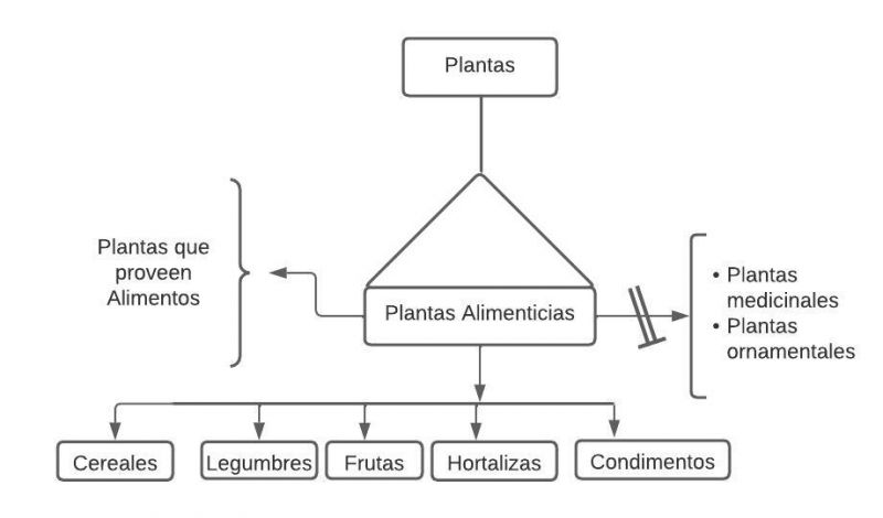 Archivo:Plantas alimenticias.jpg
