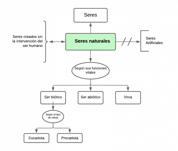 Archivo:Mentefacto seres natu.png