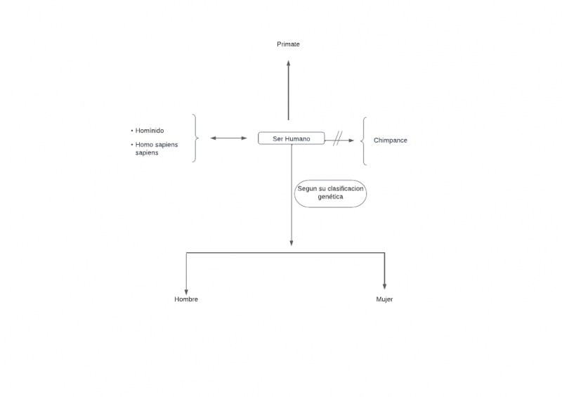 Archivo:Mentefacto ser humano 4.png