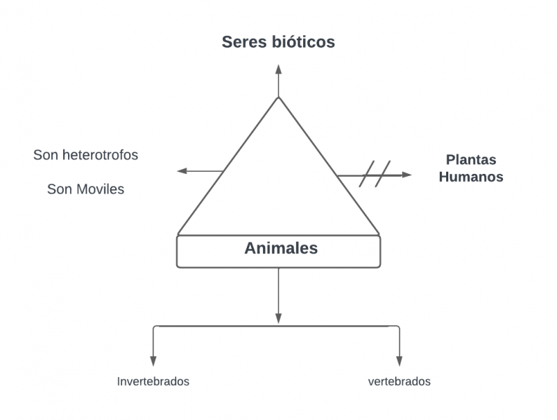 Archivo:Pseudomentefacto animales .png
