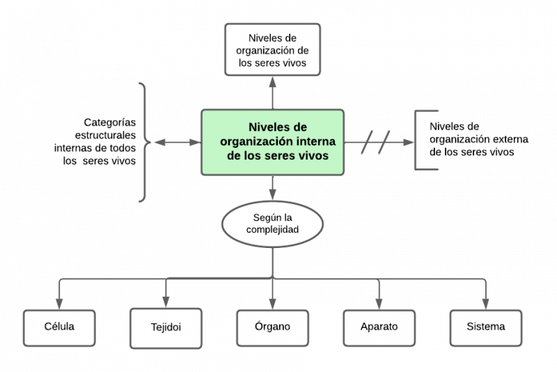 Archivo:Mentefacto niveles organizacion.png