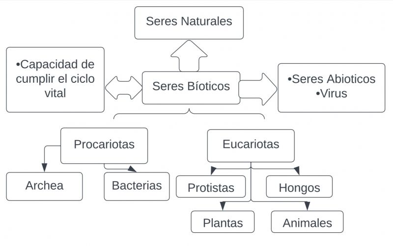 Archivo:Mentefacto Seres Bioticos.jpeg