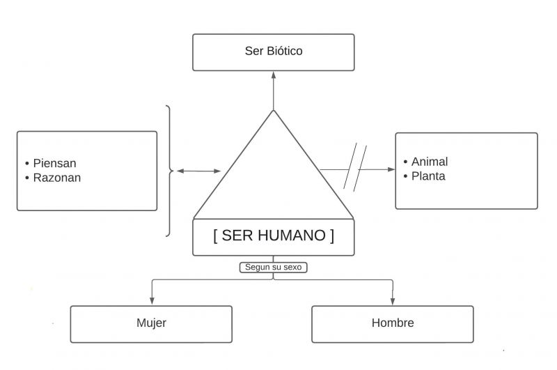Archivo:Pseudomentefacto Ser Humano..jpg