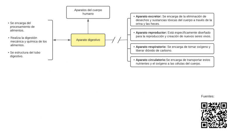 Archivo:Aparato Digestivo - Mentefacto Conceptual.png