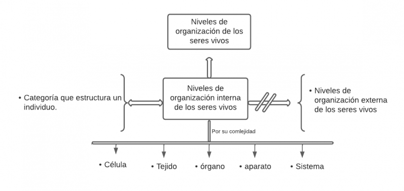 Archivo:Mentefacto producción-naturales.png