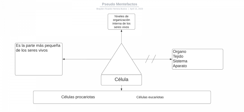 Archivo:Pseudomentefacto Célula.png