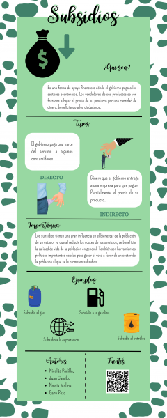 Archivo:SUBSIDIOS INFOGRAFÍAS.png