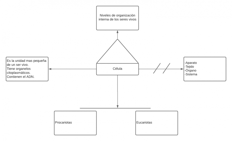 Archivo:Pseudomentefacto de célula.png