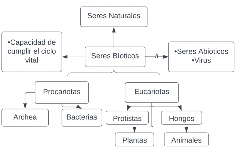 Archivo:MENTEFACTO CONCEPTUAL SERES BIOTICOS.png