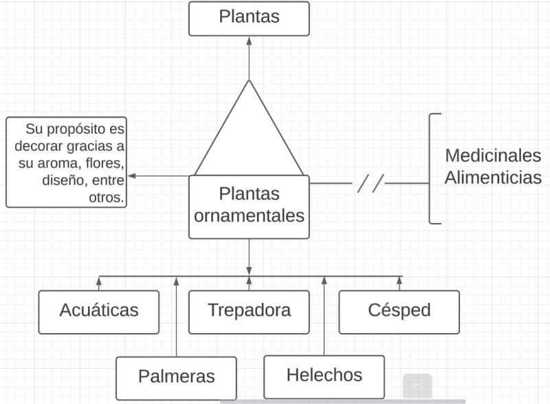 Archivo:Pseudomentefacto plantas ornamentales.png