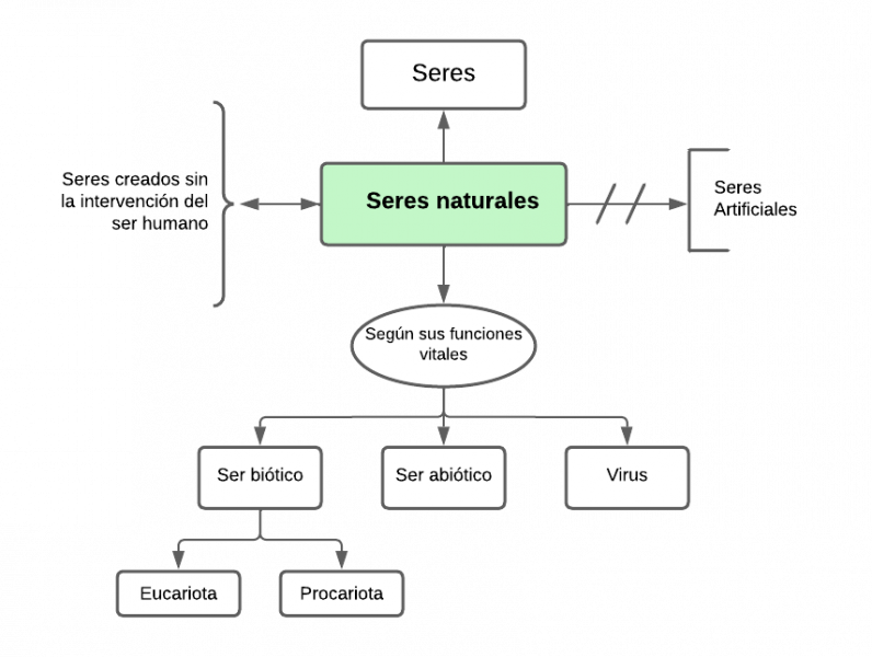 Archivo:Mentefacto seresnaturales.png