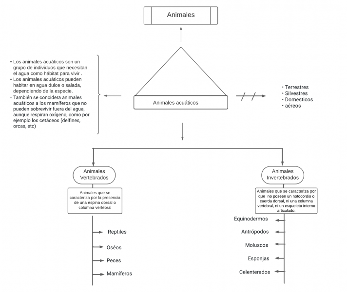 Archivo:Animales Acuáticos.png