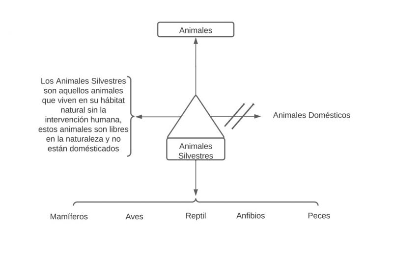 Archivo:Pseudomentefacto animales silvestres 2.jpg