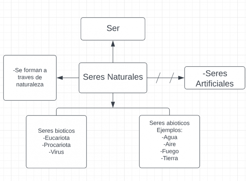 Archivo:Mentefacto seres naturales .png