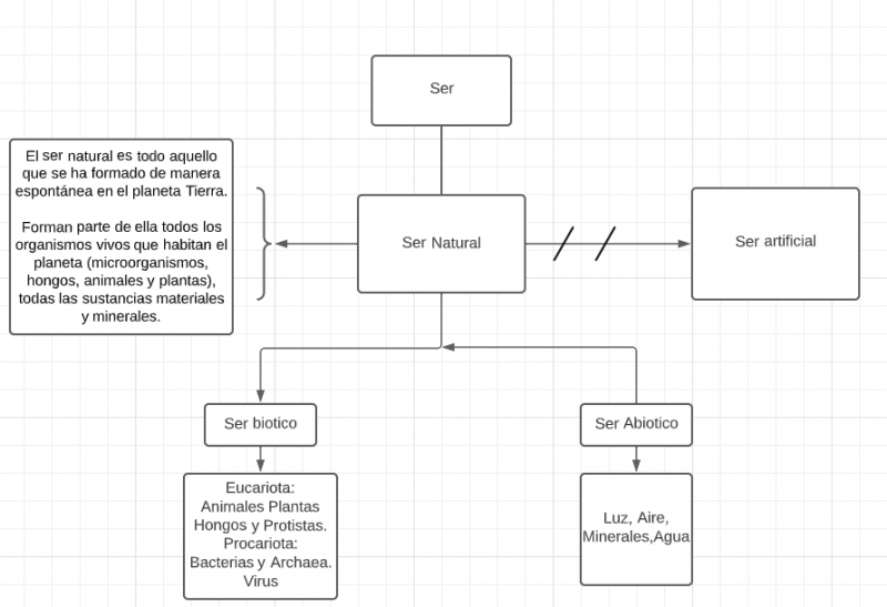 Archivo:Mnetefacto seres naturales.png