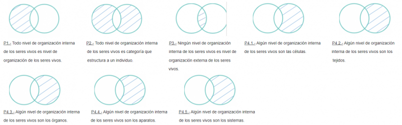 Archivo:Mentefactos organizacion interna.png