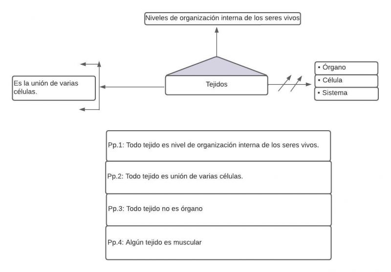 Archivo:Mentefacto tejidos.jpg