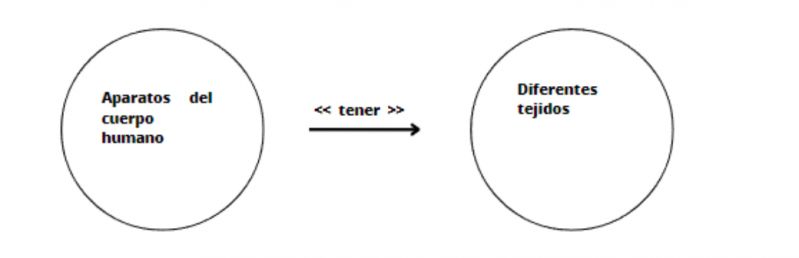 Archivo:Diferentes tejidos .jpg