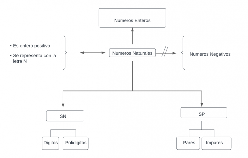 Archivo:Mentefacto numeros naturales 2.png