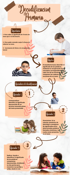 Archivo:G6 Decodificacion Primaria Infografia.png