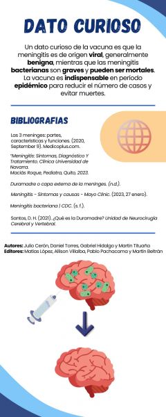 Archivo:Infografía Meninges 2.jpg