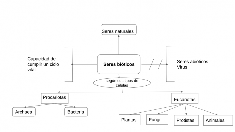 Archivo:Mentefacto seres bioticos2.png