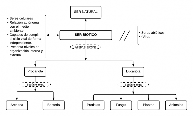 Archivo:Mentefacto Conceptual Seres Bióticos.png