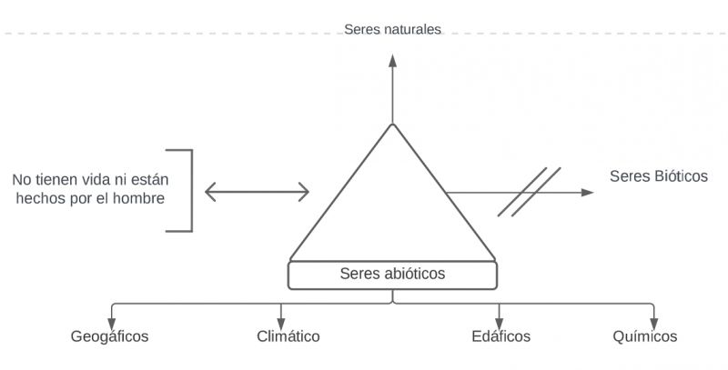 Archivo:Pseudomentefacto Seres Bióticos.jpg
