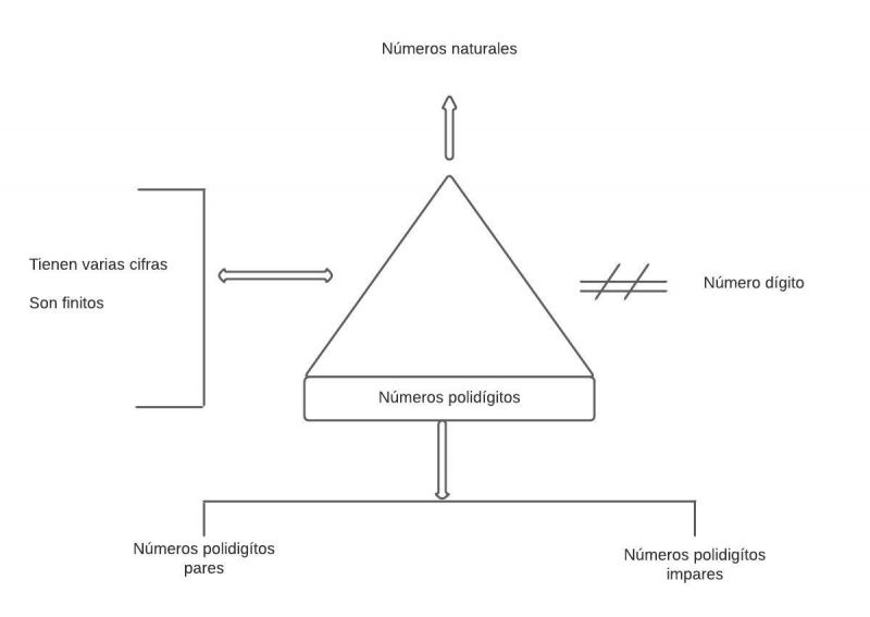 Archivo:Pseudomentefacto Polidígito.jpg