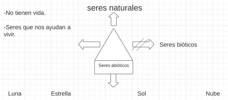 Archivo:Mentefacto seres abióticos..jpg
