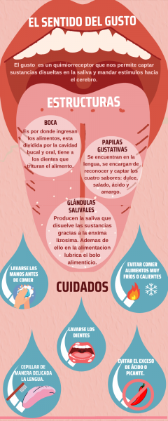 Archivo:G5 SENTIDO DEL GUSTO INFOGRAFÍA.png