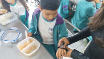 Superheroes campaña.png