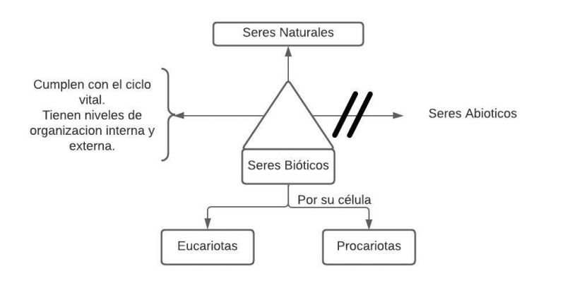 Archivo:Pseudomentefacto seres bióticos.jpg