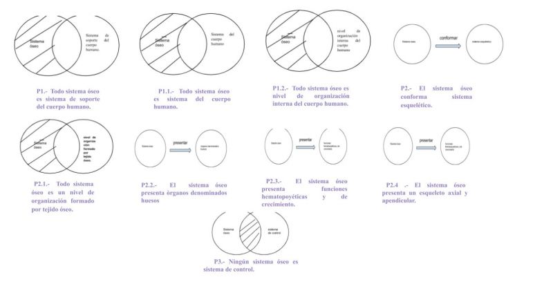 Archivo:MENTEFACTOS SISTEMA OSEO.jpg