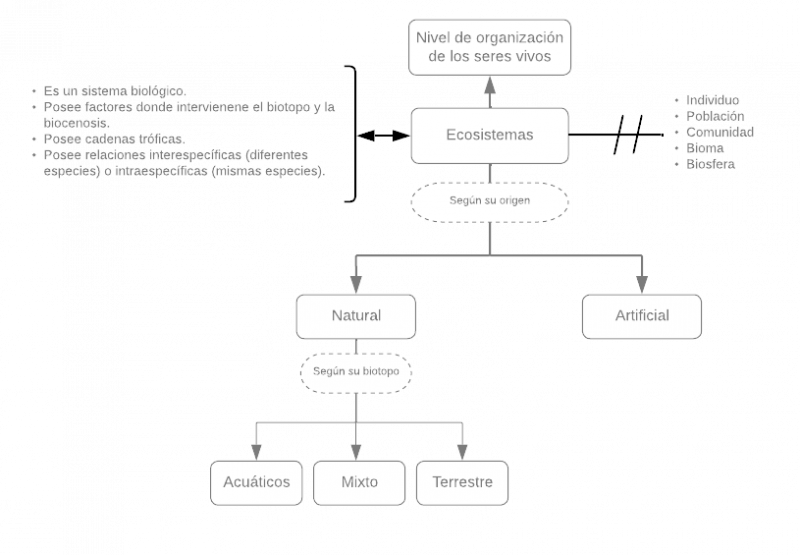 Archivo:Mentefacto ecosistemas.png