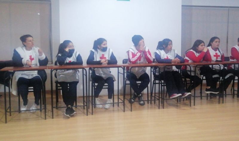 Archivo:Proyecto de la cruz roja.jpg