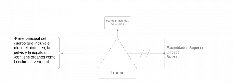 Archivo:Pseudomentefacto Tronco 1.png