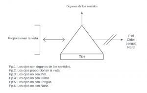 Pseudomentefacto Ojos