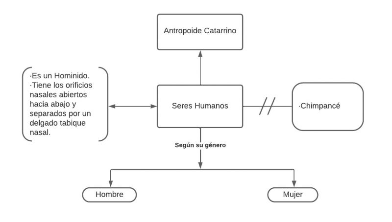 Archivo:Seres humanos.jpg